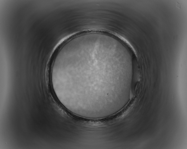 X0000086000983200704131801