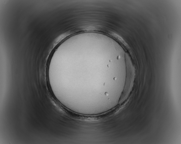 X0000086000986200704131801