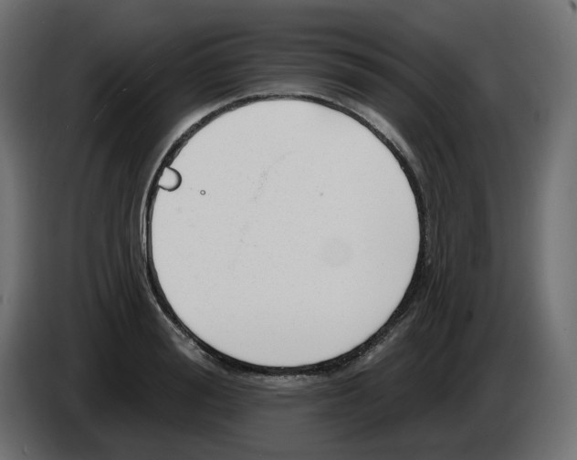 X0000086000988200704131801