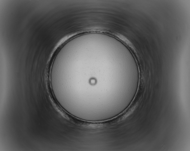 X0000086000989200704131801