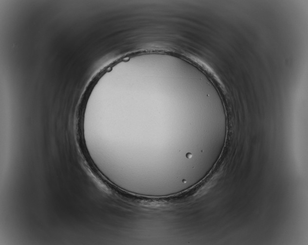 X0000086000991200704131801