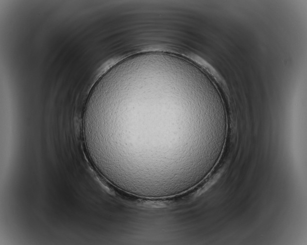 X0000086000993200704131801