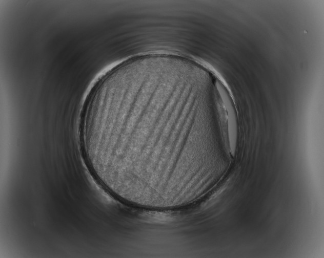 X0000086000995200704131801