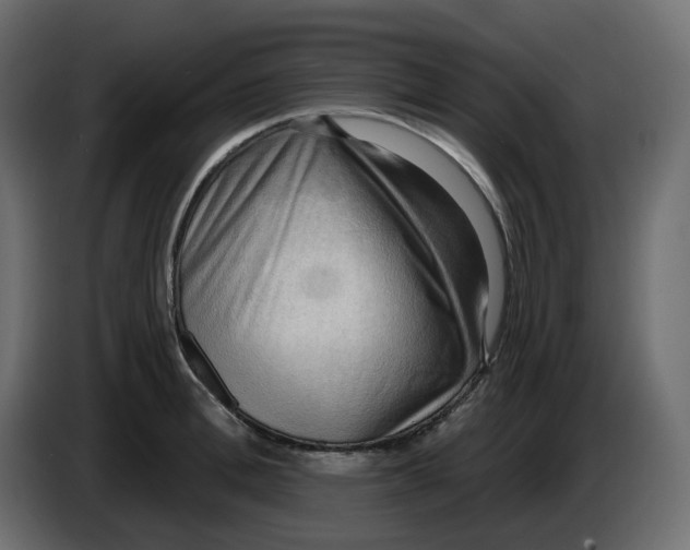 X0000086000996200704131801