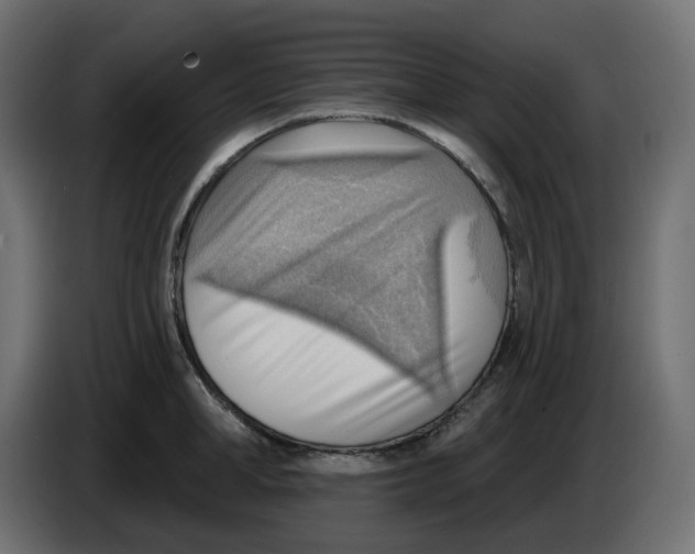 X0000086000998200704131801