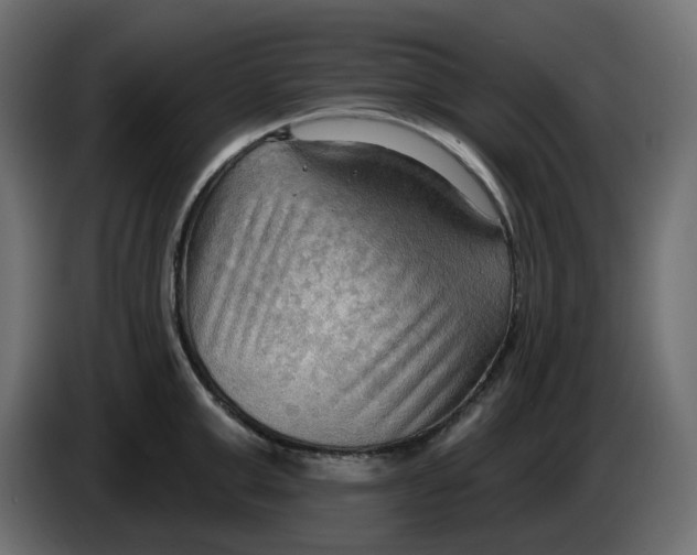 X0000086000999200704131801