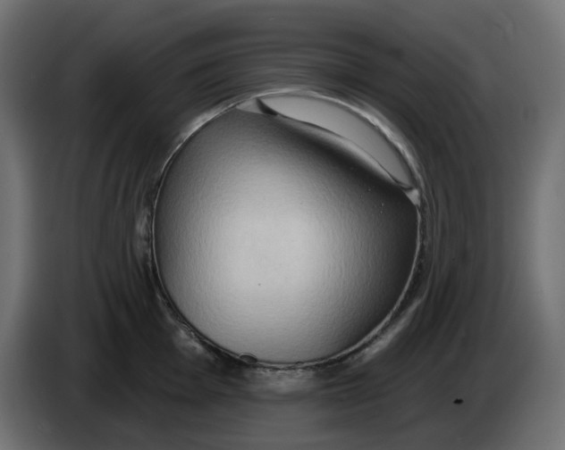 X0000086001001200704131801