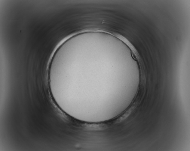 X0000086001004200704131801