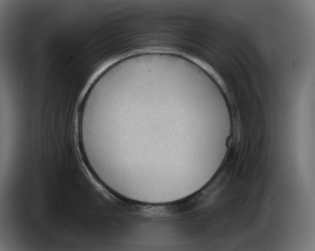 X0000086001006200704131801