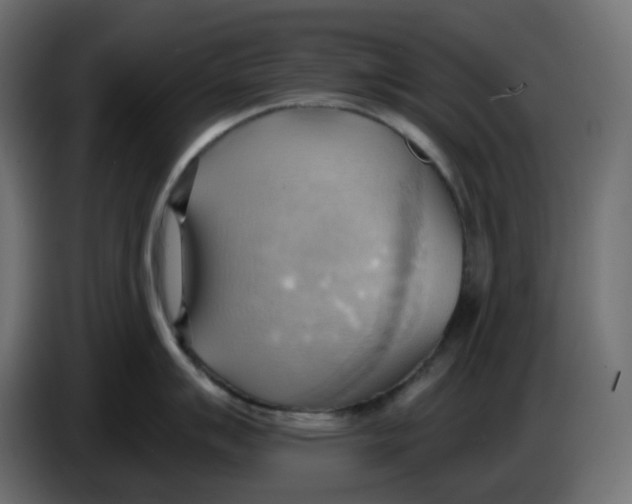 X0000086001007200704131801