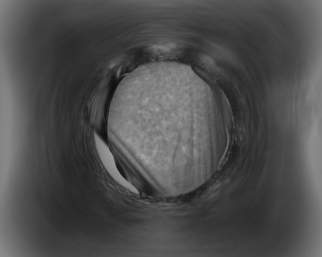 X0000086001010200704131800