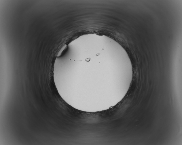 X0000086001012200704131800