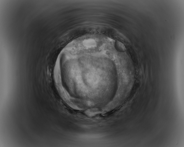 X0000086001013200704131800