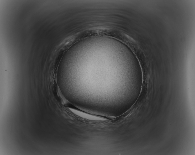 X0000086001014200704131800