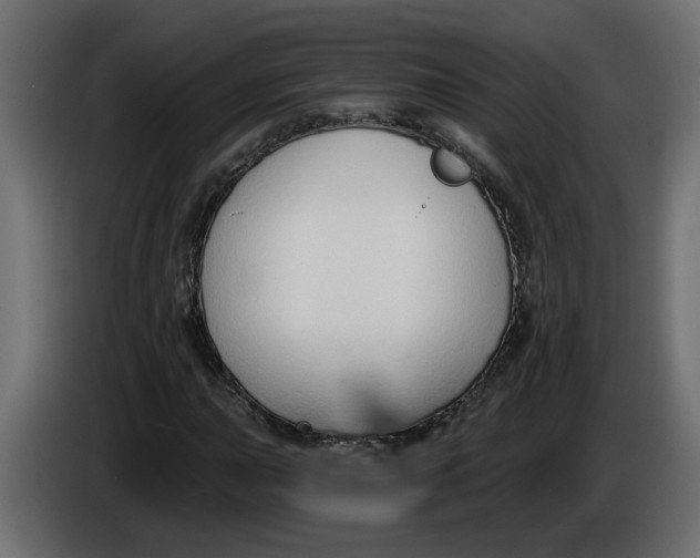 X0000086001015200704131800