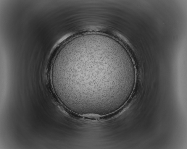 X0000086001018200704131800