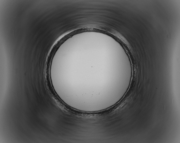 X0000086001020200704131801