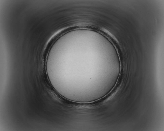 X0000086001021200704131801