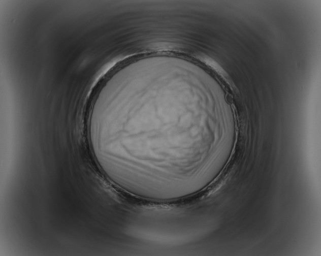 X0000086001023200704131801