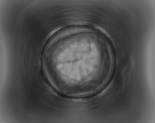 X0000086001025200704131801