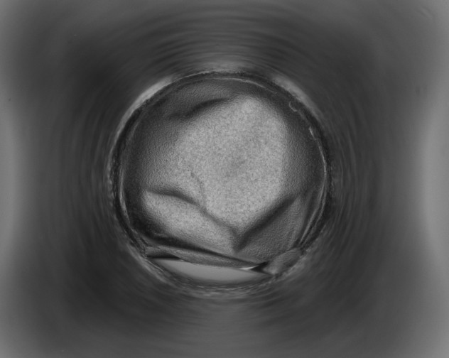 X0000086001026200704131801