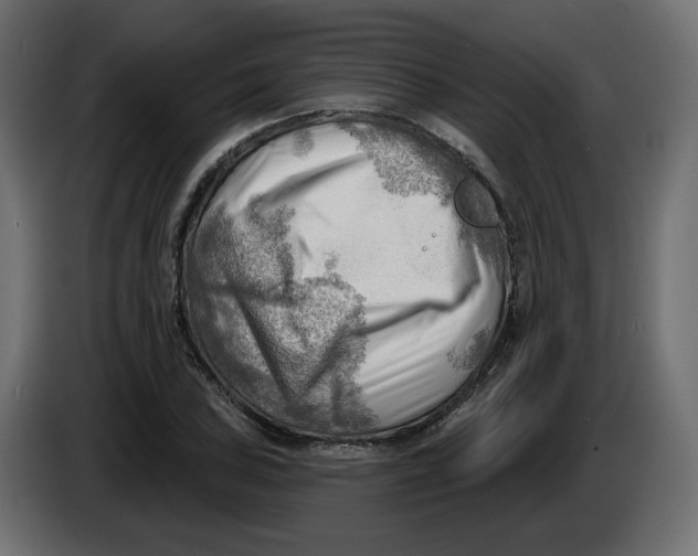 X0000086001027200704131801