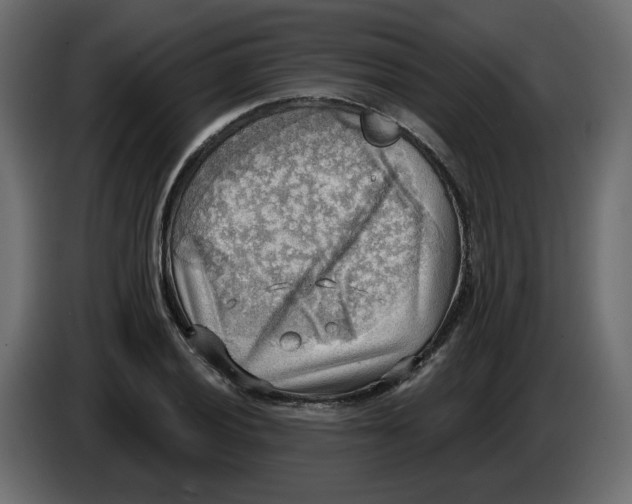 X0000086001028200704131801