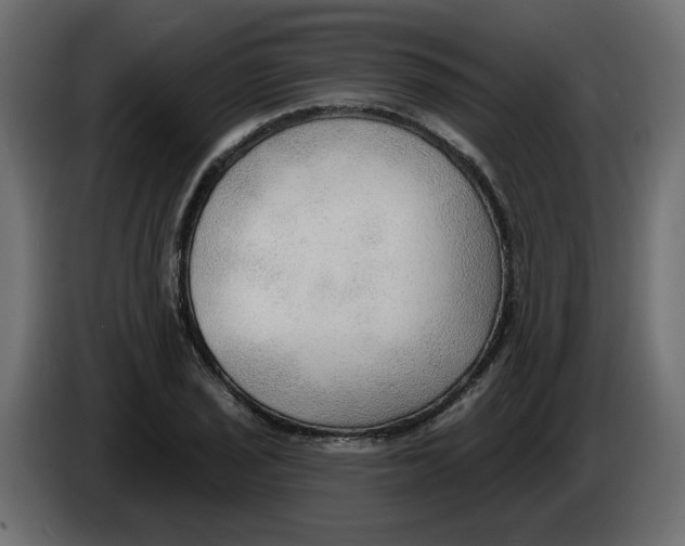 X0000086001029200704131801