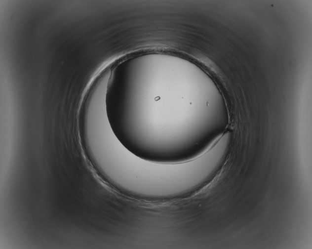 X0000086001030200704131801