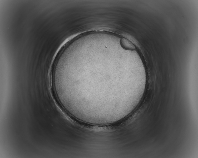 X0000086001032200704131801