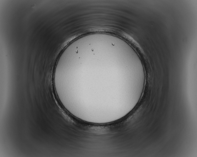 X0000086001033200704131801