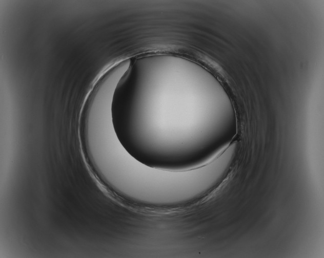 X0000086001034200704131801