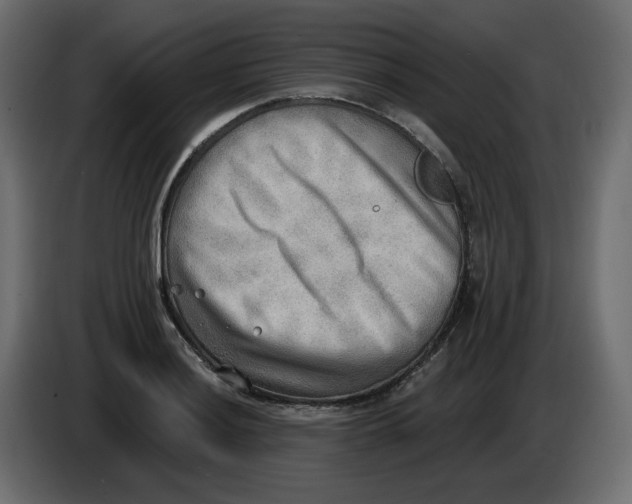 X0000086001036200704131801