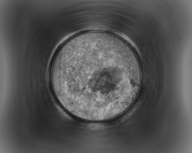 X0000086001037200704131801