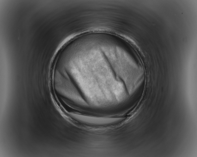 X0000086001038200704131801