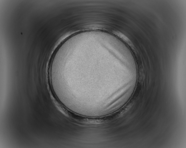 X0000086001039200704131801