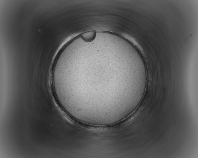 X0000086001040200704131801