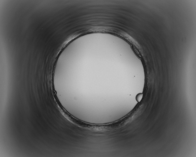 X0000086001041200704131801