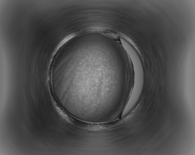 X0000086001042200704131801