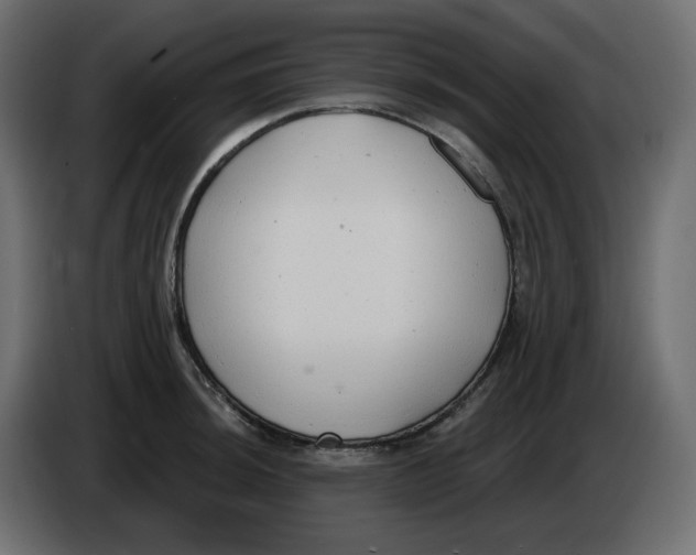 X0000086001044200704131801