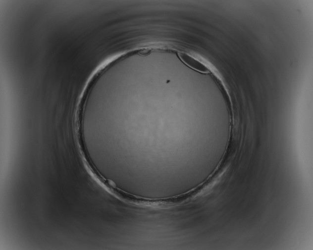 X0000086001045200704131801