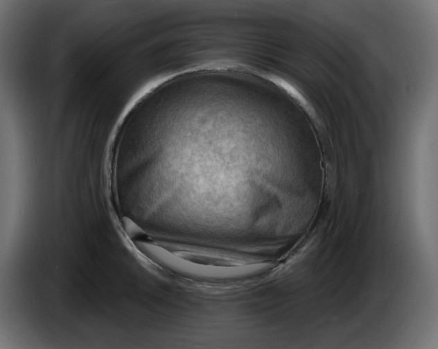 X0000086001046200704131801