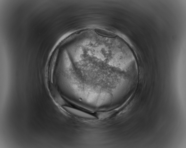 X0000086001048200704131801