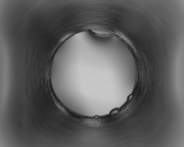 X0000086001049200704131801