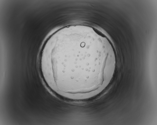 X0000086001053200704131801