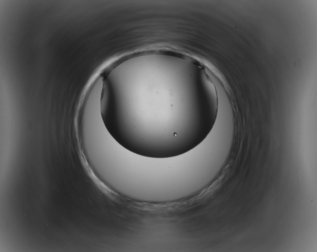 X0000086001054200704131801