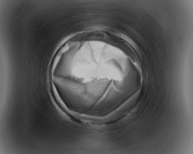 X0000086001055200704131801