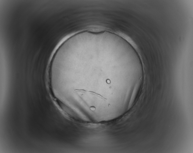 X0000086001056200704131801