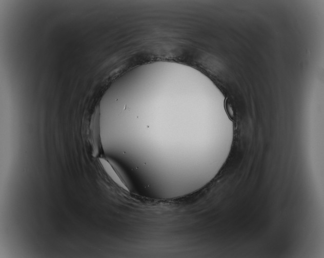 X0000086001058200704131800