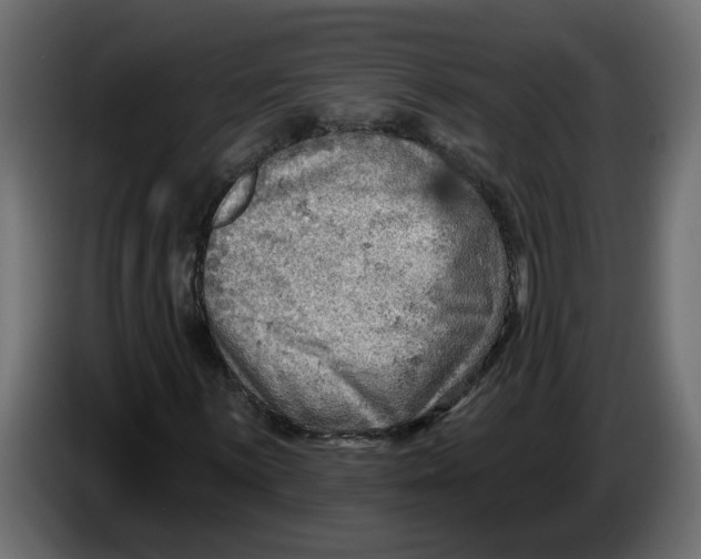 X0000086001059200704131800